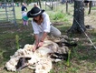 Ovenálie Zlobice: 23. ročník ovčáckých slavností nabídne stříž ovcí, farmářský trh i program pro děti Ovenálie Zlobice: 23. ročník ovčáckých slavností nabídne stříž ovcí, farmářský trh i program pro děti