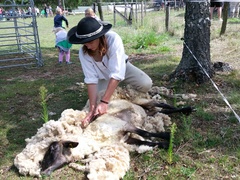 Ovenálie Zlobice: 23. ročník ovčáckých slavností nabídne stříž ovcí, farmářský trh i program pro děti Ovenálie Zlobice: 23. ročník ovčáckých slavností nabídne stříž ovcí, farmářský trh i program pro děti