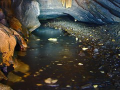 Potok Bílá voda v Moravském krasu prakticky vyschnul. Ve velkém hynou raci a ryby