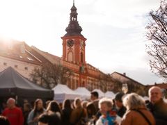 Rakovník zve na 6. ročník festivalu vína. Ochutnejte to nejlepší z Čech a Moravy