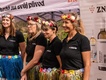 Znovínský burčák fest ve Znojmě láká na více než jen burčák. Návštěvníky čeká živá hudba i dobré jídlo Znovínský burčák fest ve Znojmě láká na více než jen burčák. Návštěvníky čeká živá hudba i dobré jídlo
