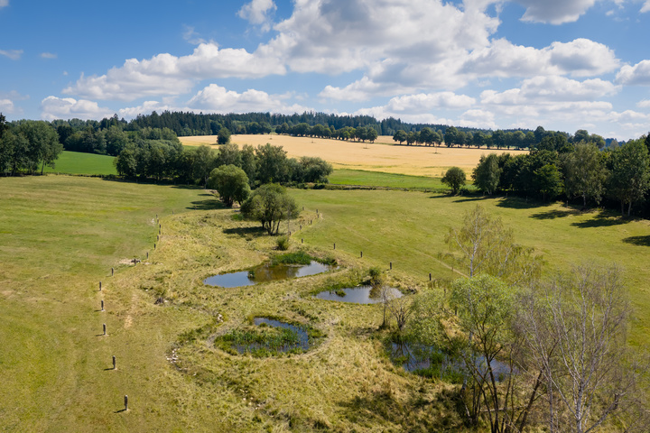 260713_09-cernovice-klinot_08_2500px.jpg