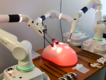 Vize vlastního robotického sálu. Nemocnice v Hodoníně míří mezi špičková centra