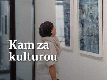 Kam za kulturou.