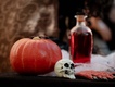 Halloween na zámku Dobříš nabídne strašidelný program, dětské divadlo, ohňovou show i peklo