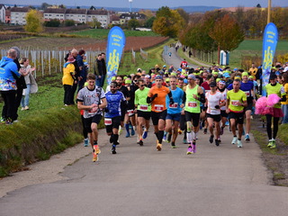 Vinařský maraton ve Velkých Bílovicích podpoří nemocného Honzíka, do vinic vyběhnou i závodníci v maskách