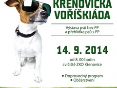 Kam vyrazíte o víkendu? Na koncert, voříškiádu nebo za sportem?