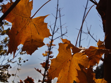 V Rozdrojovicích bylo zhotoveno nové příjemné posezení