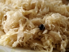 Pohořelický Zelofest potěší všechny milovníky zelí