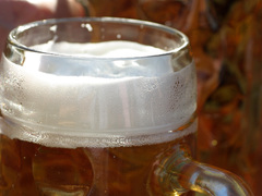 Příznivci piva zbystřete! Další ročník rosického pivního festivalu je za dveřmi