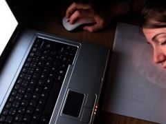 Náměšť má 2 nominace v anketě Zlatá jeřabina, hlasovat můžete do konce března