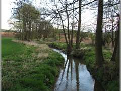 Bobrava trpí nedostatkem vody a suché léto není jediným viníkem