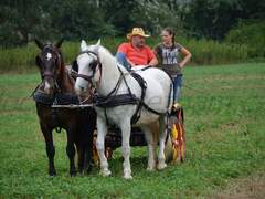 Vozatajských závodů v Rosicích se zúčastnil rekordní počet koní