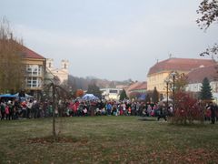 Akci Je nás vidět! v Bučovicích navštívily téměř tři stovky lidí