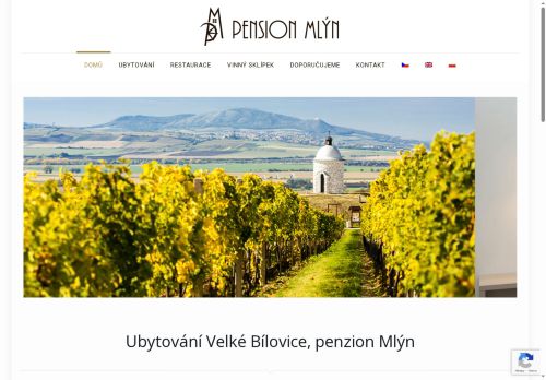 Libor Brůček nabízí práci na pozici POMOCNÁ SÍLA DO KUCHYNĚ - POMOCNÝ KUCHAŘ/KUCHAŘKA v obci Velké Bílovice