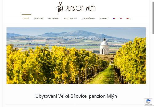 Libor Brůček nabízí práci na pozici KUCHAŘ/KUCHAŘKA v obci Velké Bílovice