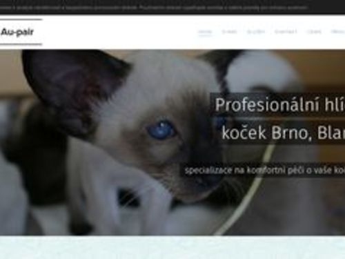 Cat au-pair