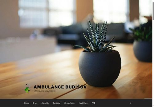 Zobrazit webové stránky Praktický lékař - MUDr. Judita Skoumalová