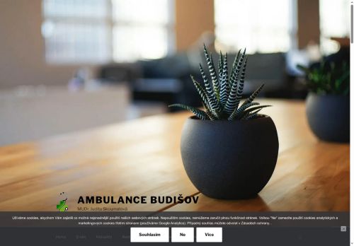 Zobrazit webové stránky Praktický lékař - MUDr. Judita Skoumalová