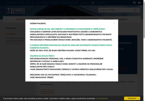 Zobrazit webové stránky Gynekologie - porodnická ambulance