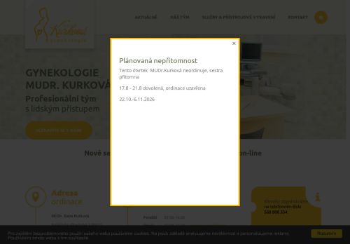 Zobrazit webové stránky Gynekologie - MUDr. Dana Kurková