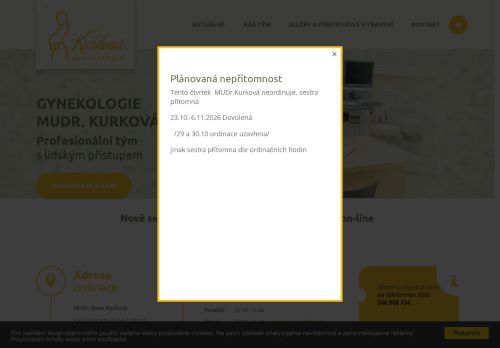 Zobrazit webové stránky Gynekologie - MUDr. Dana Kurková