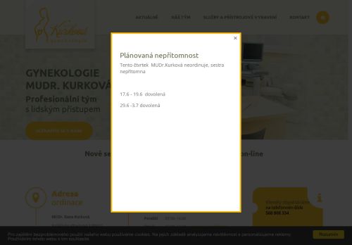 Zobrazit webové stránky Gynekologie - MUDr. Dana Kurková
