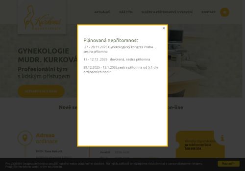 Zobrazit webové stránky Gynekologie - MUDr. Dana Kurková