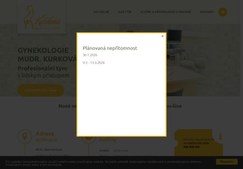 Zobrazit webové stránky Gynekologie - MUDr. Dana Kurková