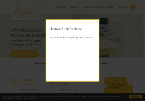 Zobrazit webové stránky Gynekologie - MUDr. Dana Kurková