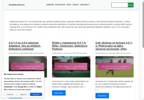 Zobrazit webové stránky Koupaliště ve Zbýšově