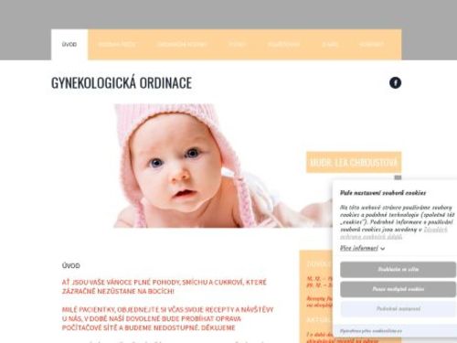 Gynekologická ambulance - MUDr. Lea Chroustová