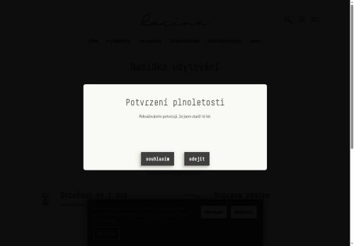 Zobrazit webové stránky Ubytování Anička