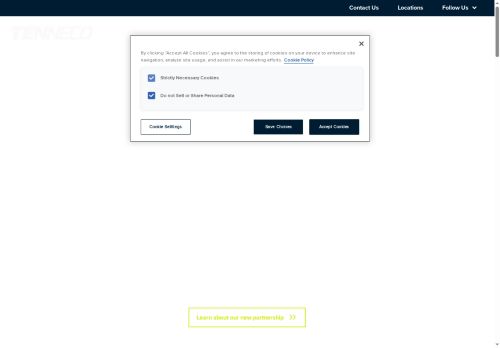 Webové stránky Federal-Mogul Valvetrain s.r.o., Dačice