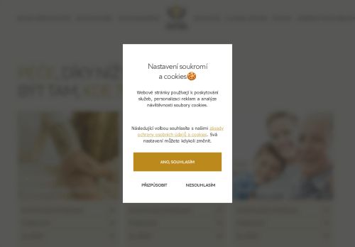 Webové stránky Global Partner sociální služby s.r.o., Prostějov