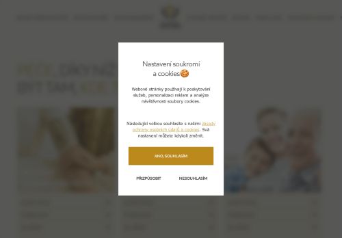 Webové stránky Global Partner Péče, z.ú., Kyjov