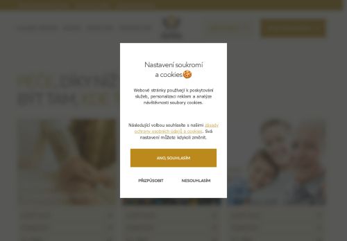 Webové stránky Global Partner Péče, z.ú., Kyjov