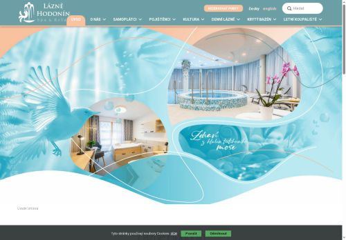 Webové stránky Lázně Hodonín, s.r.o., Hodonín