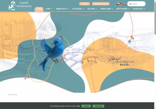 Webové stránky Lázně Hodonín, s.r.o., Hodonín