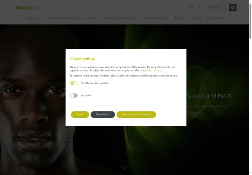 Webové stránky Autoneum Pilsen s.r.o., Rokycany