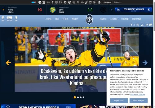 Zobrazit webové stránky Rytíři Kladno