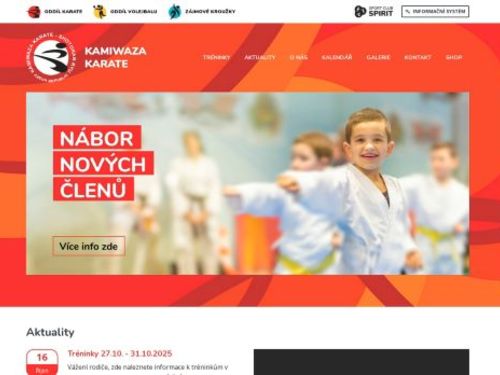 Kamiwaza karate
