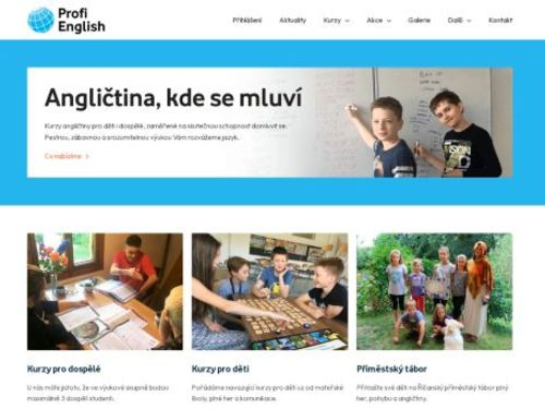 Profi English