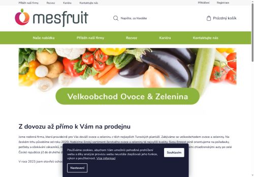 Webové stránky SAHIN s.r.o., Brno