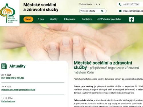 Městské sociální a zdravotní služby