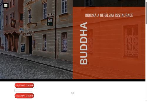 RAYAMAJHI s.r.o. nabízí práci na pozici Číšník/servírka v indické restauraci v obci Plzeň