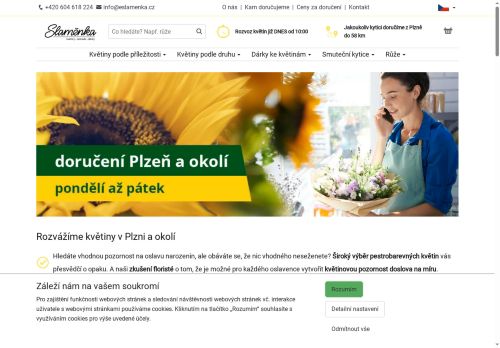 Webové stránky Jiří Maryška, Plzeň