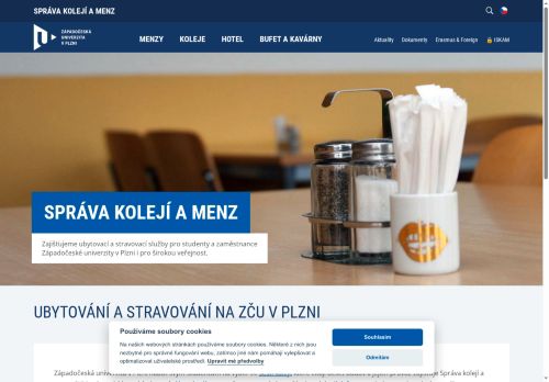 Webové stránky Západočeská univerzita v Plzni, Plzeň