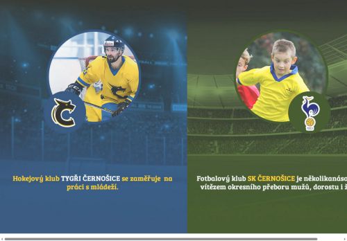 Zobrazit webové stránky Zimní stadion