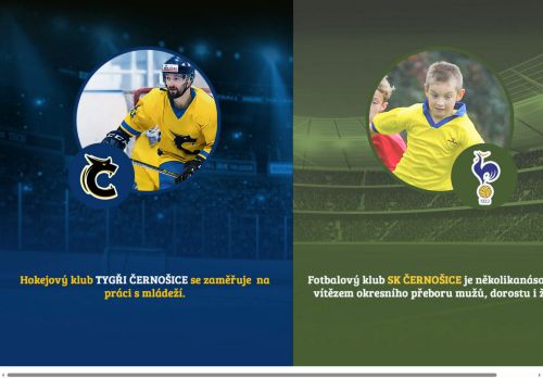 Zobrazit webové stránky Zimní stadion